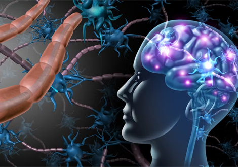 Barber Salon  Bootstrap 4 Template